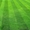 Купить.Рулонный газон, гарантия и качество - <ro>Изображение</ro><ru>Изображение</ru> #2, <ru>Объявление</ru> #1146982