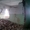Демонтажные работы перепланировка по Днепропетровске и области - <ro>Изображение</ro><ru>Изображение</ru> #1, <ru>Объявление</ru> #1211908