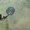 Металлоискатель импульсный "Фантом" - до 1,3 м - <ro>Изображение</ro><ru>Изображение</ru> #3, <ru>Объявление</ru> #1271352
