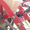 Сеялка СУПН-6 Эжекторная новая  - <ro>Изображение</ro><ru>Изображение</ru> #1, <ru>Объявление</ru> #1293171