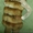 Продам жилет (поперечный) из лисы - <ro>Изображение</ro><ru>Изображение</ru> #2, <ru>Объявление</ru> #1306173