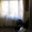 Двухкомнатная квартира Кривой Рог - <ro>Изображение</ro><ru>Изображение</ru> #2, <ru>Объявление</ru> #1351020