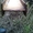 Балка двутавровая 14, 16, 18, 20, 55 Демонтаж - <ro>Изображение</ro><ru>Изображение</ru> #4, <ru>Объявление</ru> #1350904