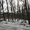 Участки в хвойном и дубовом лесу в Орловщине Новомосковского района - <ro>Изображение</ro><ru>Изображение</ru> #2, <ru>Объявление</ru> #1373372