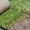 Устройство посевного газона, укладка рулонного газона Днепропетровск - <ro>Изображение</ro><ru>Изображение</ru> #2, <ru>Объявление</ru> #1374879