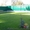 Сеем газон по Днепропетровску быстро и качественно #1397012