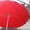 Зонт 24 спицы круглый - <ro>Изображение</ro><ru>Изображение</ru> #2, <ru>Объявление</ru> #1402855