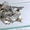 Куплю металлолом в Днепропетровске. Высокие цены - <ro>Изображение</ro><ru>Изображение</ru> #1, <ru>Объявление</ru> #1400324