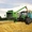 Закупаем зерновые на выгодных условиях - <ro>Изображение</ro><ru>Изображение</ru> #1, <ru>Объявление</ru> #1466077