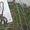 Уничтожение тараканов и других насекомых в Днепропетровске - <ro>Изображение</ro><ru>Изображение</ru> #3, <ru>Объявление</ru> #1485400