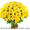 Доставка цветов Днепропетровск, служба доставки цветов и подарков - <ro>Изображение</ro><ru>Изображение</ru> #5, <ru>Объявление</ru> #1489466
