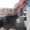 Продаем гусеничный экскаватор КОВРОВЕЦ ЭО-4225, 1,5 м3, 2007 г.в. - <ro>Изображение</ro><ru>Изображение</ru> #1, <ru>Объявление</ru> #1567639