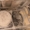 Продаем гусеничный экскаватор Воронежец ЭО-5124, 1,5 м 3, 1986 г.в. - <ro>Изображение</ro><ru>Изображение</ru> #10, <ru>Объявление</ru> #1573871