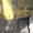 Продаем гусеничный экскаватор ЭО-4112-1 Драглайн, 1,0 м3, 1993 г.в. - <ro>Изображение</ro><ru>Изображение</ru> #7, <ru>Объявление</ru> #1569977