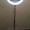 Кольцевая лампа, Светодиодное кольцо, Кольцевой свет, led лампа! - <ro>Изображение</ro><ru>Изображение</ru> #3, <ru>Объявление</ru> #1637261