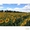Качественные семена подсолнечника и кукурузы - <ro>Изображение</ro><ru>Изображение</ru> #1, <ru>Объявление</ru> #1649777