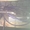 Продаем комплект гидравлических, ручных домкратов PADIMA, 2008 г.в. - <ro>Изображение</ro><ru>Изображение</ru> #1, <ru>Объявление</ru> #1657502