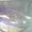 Продаем комплект гидравлических, ручных домкратов PADIMA, 2008 г.в. - <ro>Изображение</ro><ru>Изображение</ru> #2, <ru>Объявление</ru> #1657502