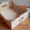 Упаковка для черешни. Картонная упаковка для черешни - <ro>Изображение</ro><ru>Изображение</ru> #2, <ru>Объявление</ru> #1678473