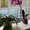 Продам 2-х комнатную квартиру с ремонтом, пр.Гагарина - <ro>Изображение</ro><ru>Изображение</ru> #7, <ru>Объявление</ru> #1678290