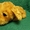 Продам мягкую игрушку собака с носиком.   - <ro>Изображение</ro><ru>Изображение</ru> #3, <ru>Объявление</ru> #1701194