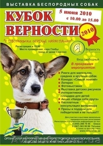 Выставка беспородных собак "Кубок Верности-2010" в Днепропетровске - <ro>Изображение</ro><ru>Изображение</ru> #1, <ru>Объявление</ru> #36598