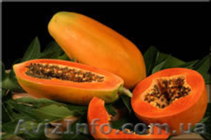 Папаин (Carica papaya L.) - <ro>Изображение</ro><ru>Изображение</ru> #1, <ru>Объявление</ru> #43997