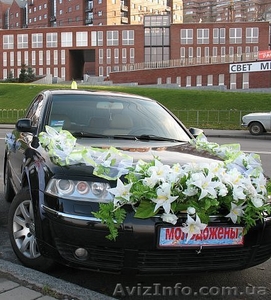 VW Passat B5+ прокат авто на свадьбу! Доступные цены! Выгодные условия! Звоните! - <ro>Изображение</ro><ru>Изображение</ru> #2, <ru>Объявление</ru> #117135