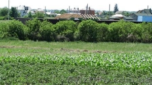 (хозяин) продажа участка 12км от Киева,  3км от Житомирской трассы