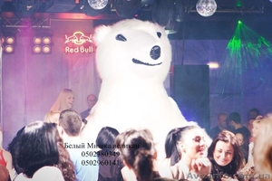 Белый Медведь на свадьбу - <ro>Изображение</ro><ru>Изображение</ru> #4, <ru>Объявление</ru> #373099