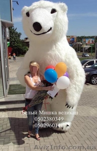 Белый Медведь на свадьбу - <ro>Изображение</ro><ru>Изображение</ru> #3, <ru>Объявление</ru> #373099