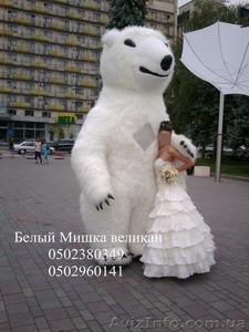 Белый Медведь на свадьбу - <ro>Изображение</ro><ru>Изображение</ru> #2, <ru>Объявление</ru> #373099