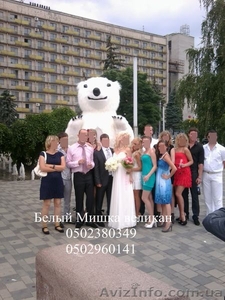 Белый Медведь на свадьбу - <ro>Изображение</ro><ru>Изображение</ru> #1, <ru>Объявление</ru> #373099
