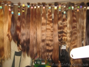 Продам Натуральные волосы для наращивания - <ro>Изображение</ro><ru>Изображение</ru> #3, <ru>Объявление</ru> #401195
