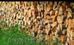 Акация, дуб, береза и др.  дрова. - <ro>Изображение</ro><ru>Изображение</ru> #1, <ru>Объявление</ru> #465569