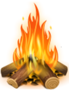 Дрова акации пиленные резанные, Доставка. #479468