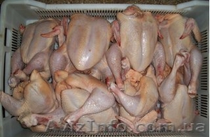 Курица,  бройлер