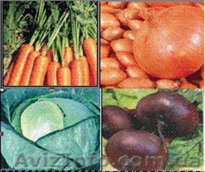 Продам овощи 2011 года - <ro>Изображение</ro><ru>Изображение</ru> #1, <ru>Объявление</ru> #532786