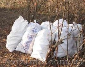 Вывоз строительного мусора в Днепропетровске  - <ro>Изображение</ro><ru>Изображение</ru> #1, <ru>Объявление</ru> #556139