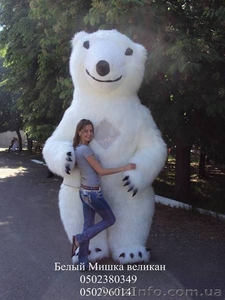 Медведь на праздник - <ro>Изображение</ro><ru>Изображение</ru> #3, <ru>Объявление</ru> #651507