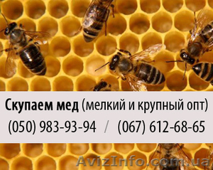 Купим пчелиный мед (куплю мед) крупным и мелким оптом в Луганске
