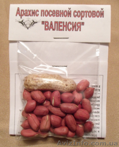 Семена арахиса посевного "Валенсия" - <ro>Изображение</ro><ru>Изображение</ru> #2, <ru>Объявление</ru> #551584