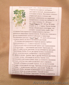 Семена арахиса посевного "Валенсия" - <ro>Изображение</ro><ru>Изображение</ru> #3, <ru>Объявление</ru> #551584