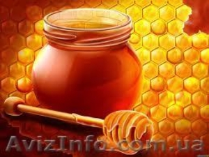 Продам натуральный мед 2013 года - <ro>Изображение</ro><ru>Изображение</ru> #1, <ru>Объявление</ru> #839403