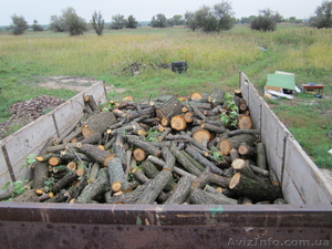 Сосновые и фруктовые дрова - <ro>Изображение</ro><ru>Изображение</ru> #2, <ru>Объявление</ru> #835014