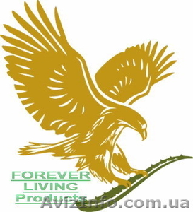 Сотрудничество с компанией Forever Living Products - <ro>Изображение</ro><ru>Изображение</ru> #1, <ru>Объявление</ru> #911702