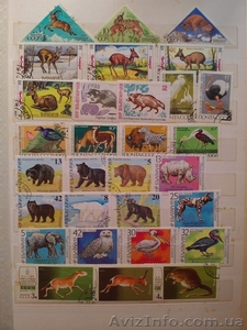 Продам коллекцию марок - <ro>Изображение</ro><ru>Изображение</ru> #8, <ru>Объявление</ru> #923504