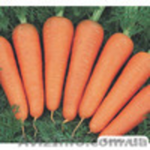 Морковь по раумной цене. - <ro>Изображение</ro><ru>Изображение</ru> #1, <ru>Объявление</ru> #989877