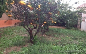 Продам дом в г. Торревьеха