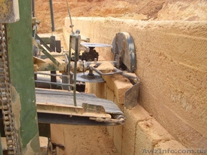 Камень-ракушечник крымский